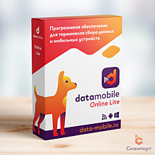 DMcloud: DataMobile, версия Online Lite - подписка на 12 месяцев